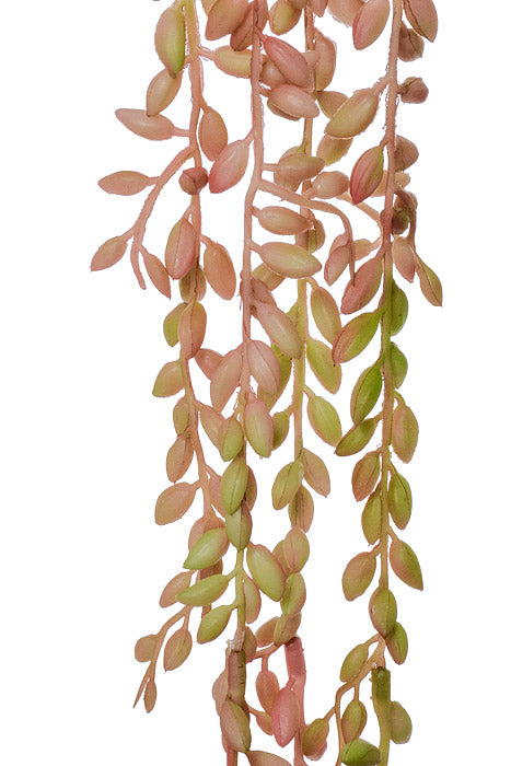 35" Plastic Natural Touch Succulent Seed Vine Pink/Green