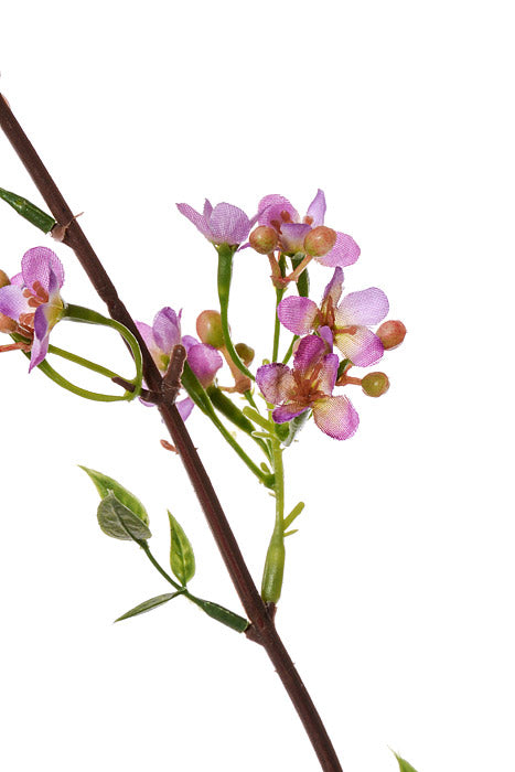 40&quot; Silk Wax Flower Spray Lavender