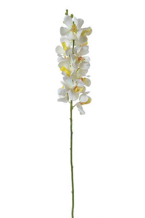 29&quot; Vanda Orchid Stem White