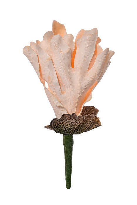 14" Plastic Coastal Staghorn Fern Peach