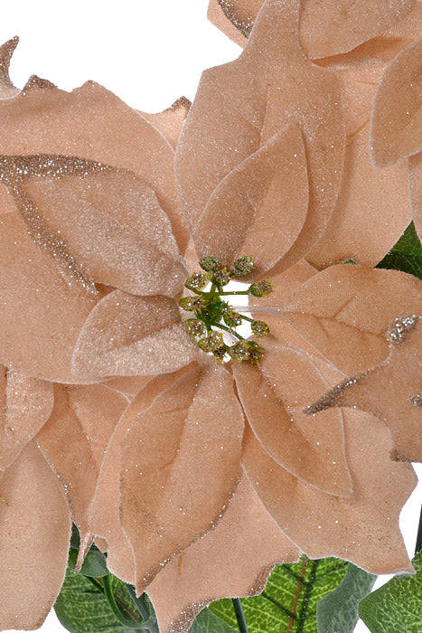 24" Velvet Poinsettia Bush (Champagne)