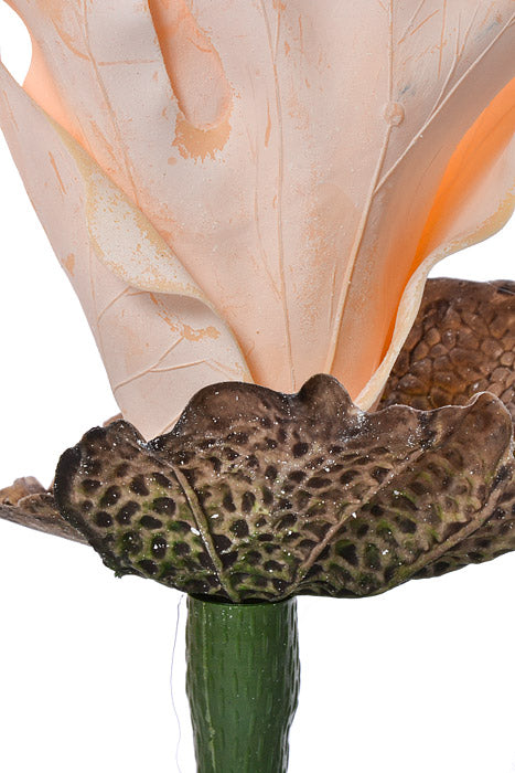 14" Plastic Coastal Staghorn Fern Peach