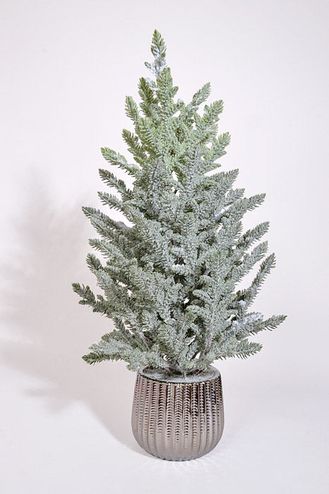 25" Snow Juniper Pine With Pot White/Green