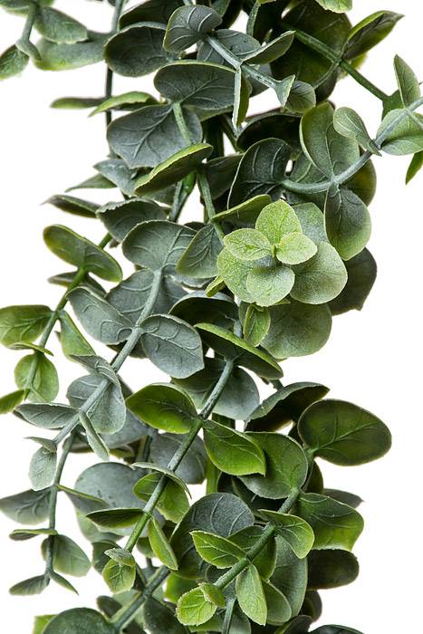 6ft Eucalyptus Garland Green