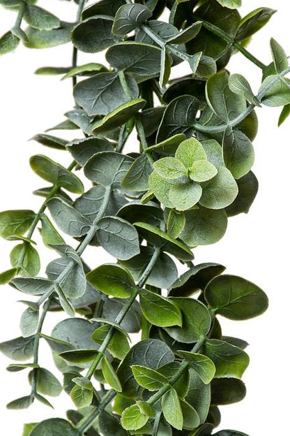 6ft Eucalyptus Garland Green