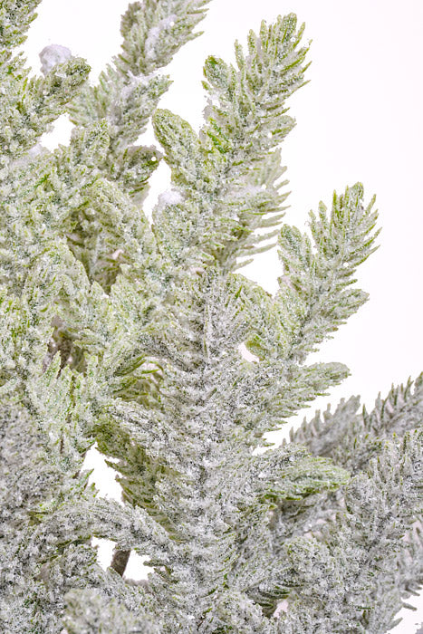 25" Snow Juniper Pine With Pot White/Green