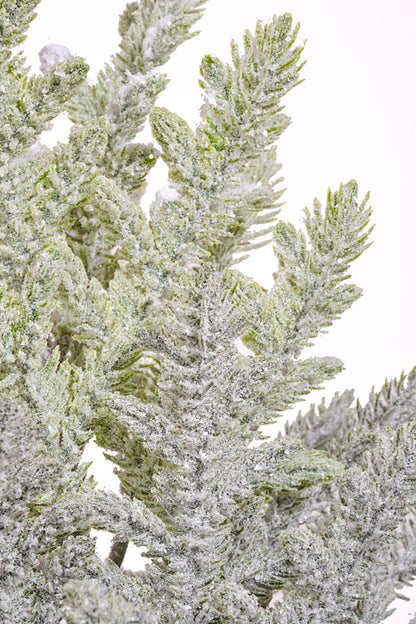 25" Snow Juniper Pine With Pot White/Green