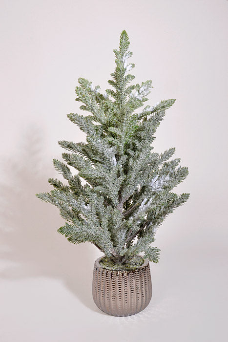 22" Snow Juniper Pine With Pot White/Green