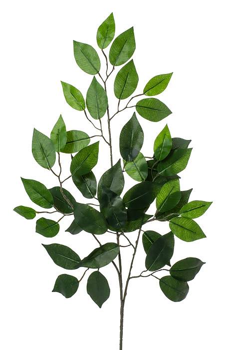 24" Ficus Spray Green Pkg/12