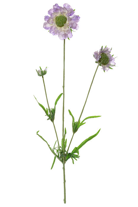 25.25" Silk Scabiosa Spray Lavender