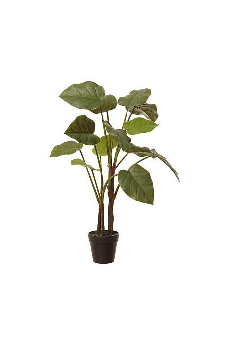 3FT Calla Lily Leaf Plant In Pot Green