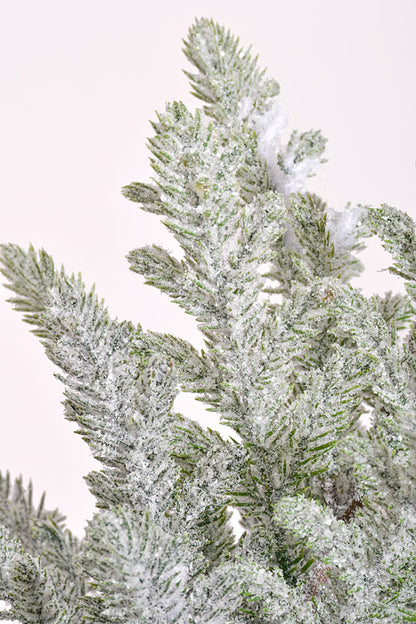 22" Snow Juniper Pine With Pot White/Green