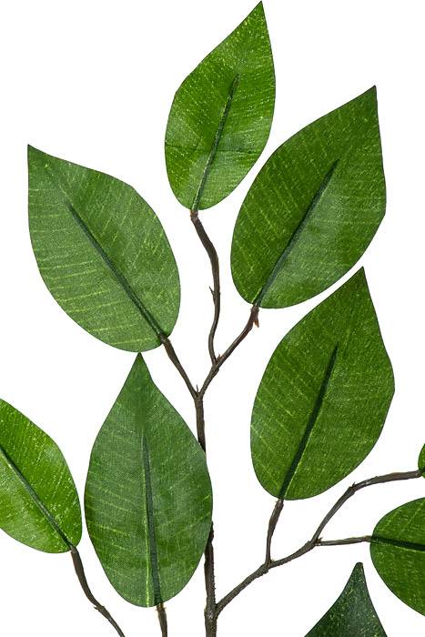 24" Ficus Spray Green Pkg/12