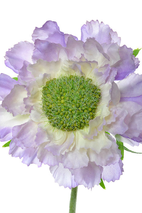 25.25" Silk Scabiosa Spray Lavender