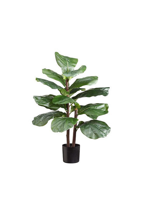 30" Fiddle Leaf Plant In Pot Green