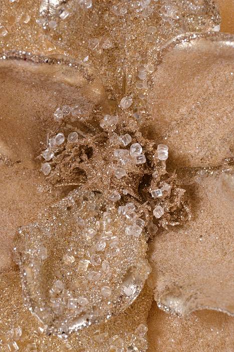 24" Beaded Ice Chunks Magnolia Stem Champagne