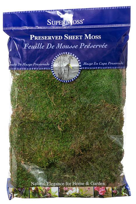 Preserved Sheet Moss Basil Green 8oz