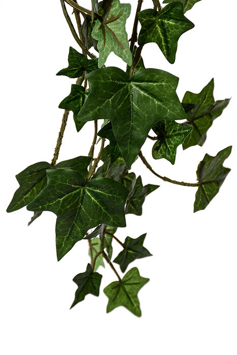 33&quot; English Ivy Bush Green