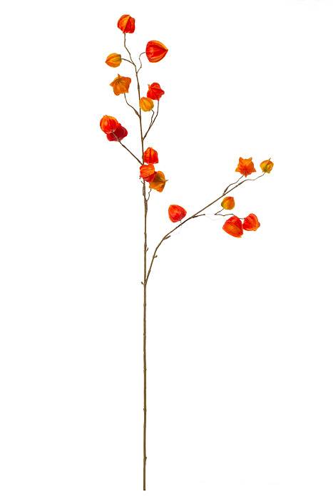 41" Chinese Lantern Spray Orange