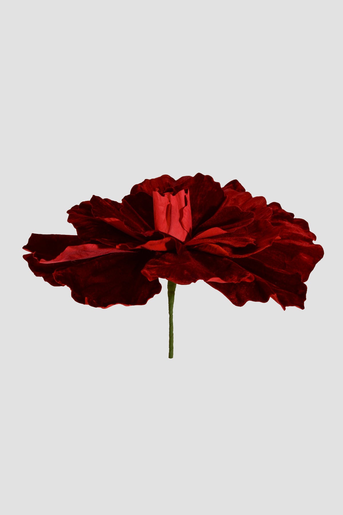 21" Open Velvet Rose Stem Red