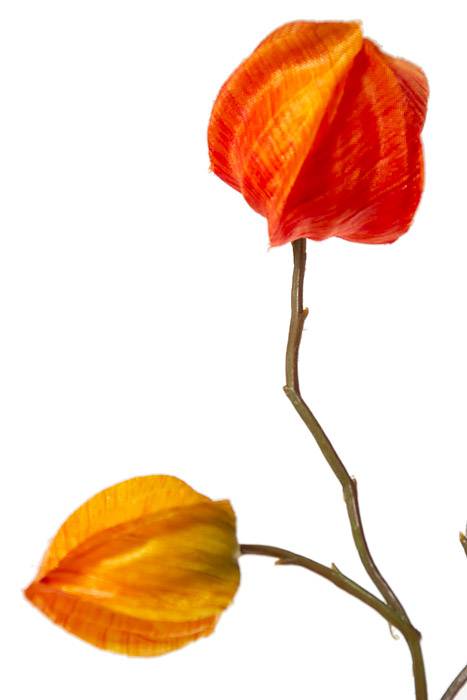 41" Chinese Lantern Spray Orange