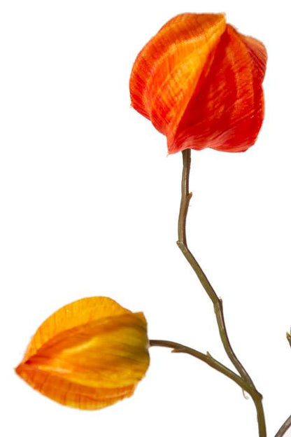 41" Chinese Lantern Spray Orange