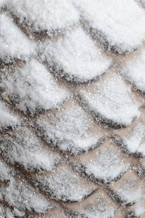 9" Pine Cone/snow Ornament White/brown