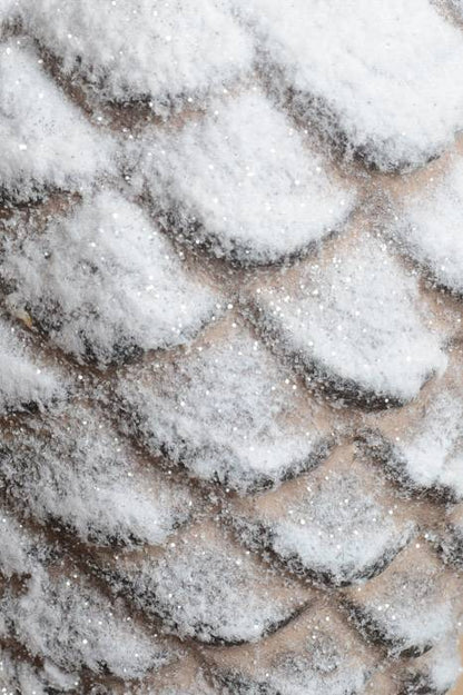 9" Pine Cone/snow Ornament White/brown