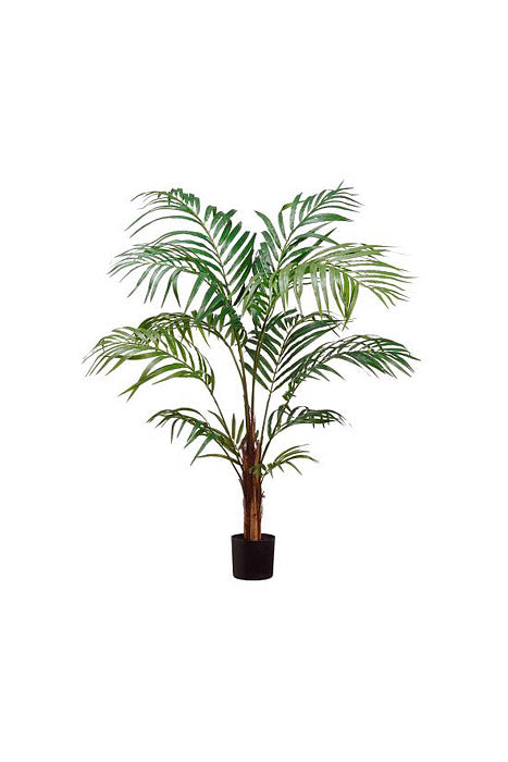 48" Areca Palm Tree In Pot Green