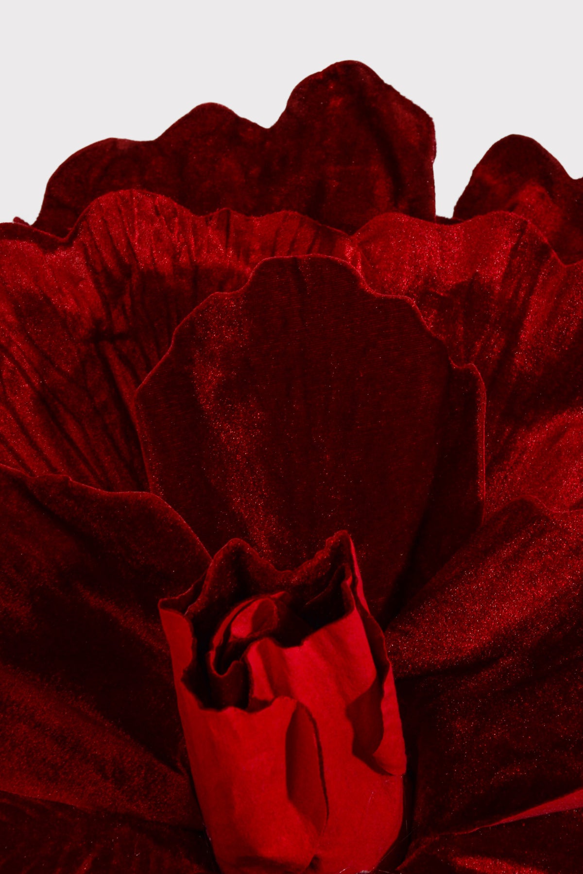 21" Open Velvet Rose Stem Red