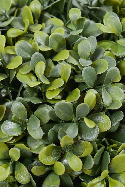 8.5" Boxwood Ball Green