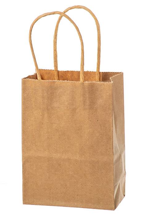 4.25 X 2.25 X 6" Kraft Shopping Bag Natural Pkg/12