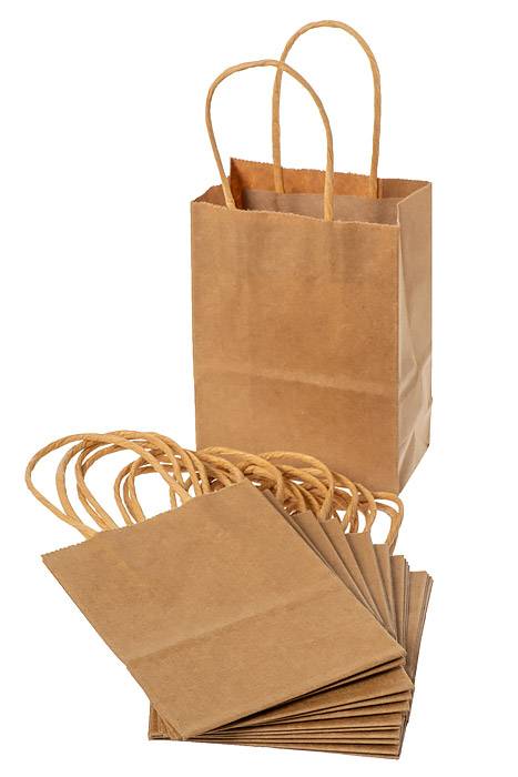 4.25 X 2.25 X 6" Kraft Shopping Bag Natural Pkg/12