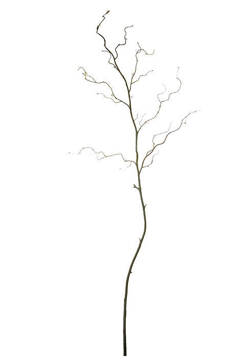 54" Curly Willow Spray Green/Brown