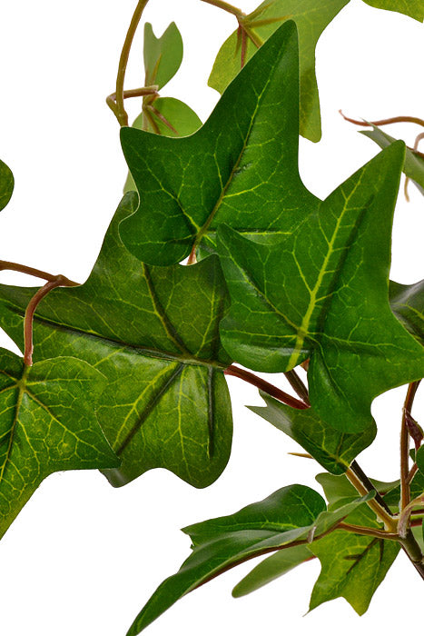 20&quot; Uv Protected Ivy Bush Green
