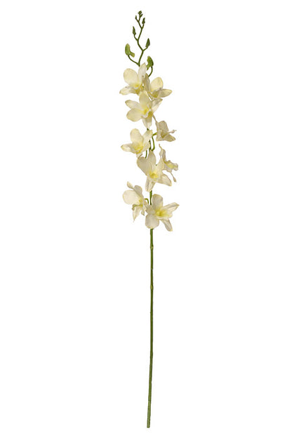 35.5" Dendrobium Spray Cream