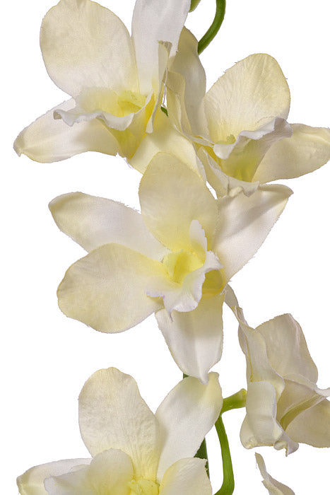35.5" Dendrobium Spray Cream