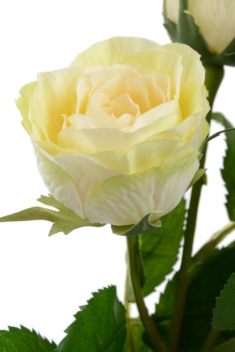 15" Rose Spray Cream/pink