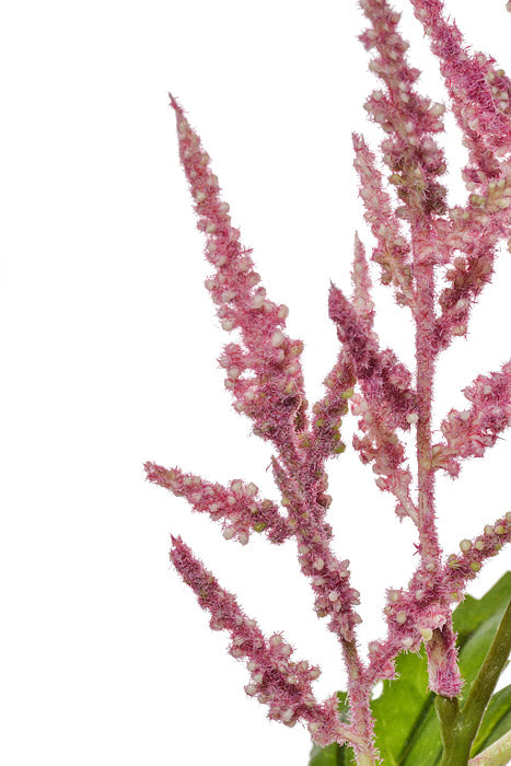 36" Silk Astilbe Spray Orchid