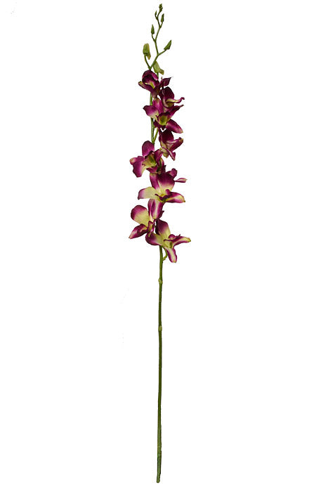 35.5" Dendrobium Spray Purple