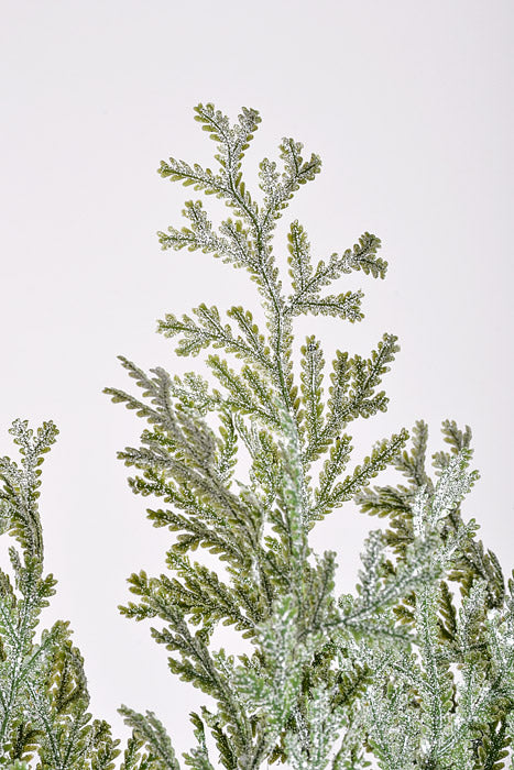 20" Cypress Bush With Ice Green