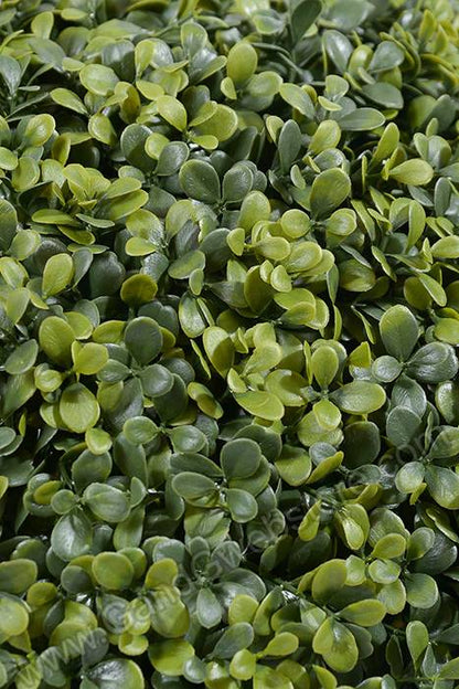 19" Boxwood Ball Green