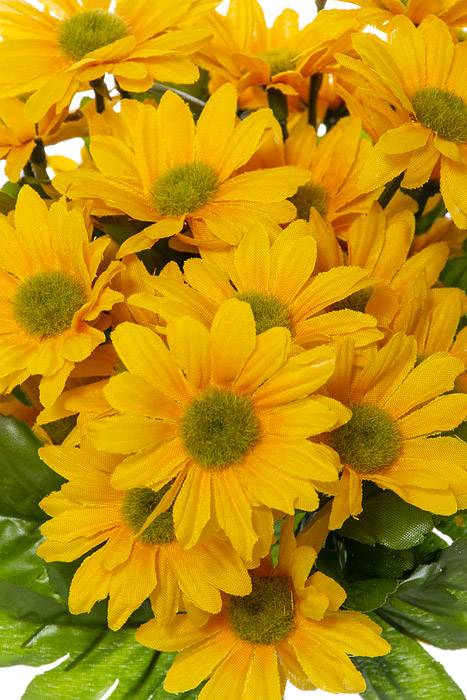 14&quot; Silk Daisy Bundle Yellow