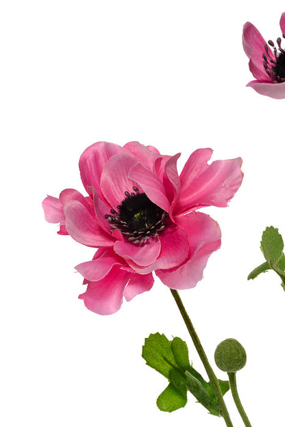 26" Silk Anemone Spray Fuchsia