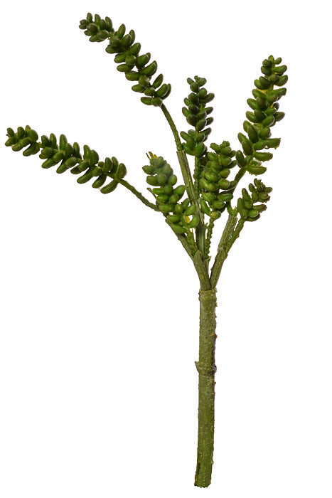 12" Donkey Tail Pick Green