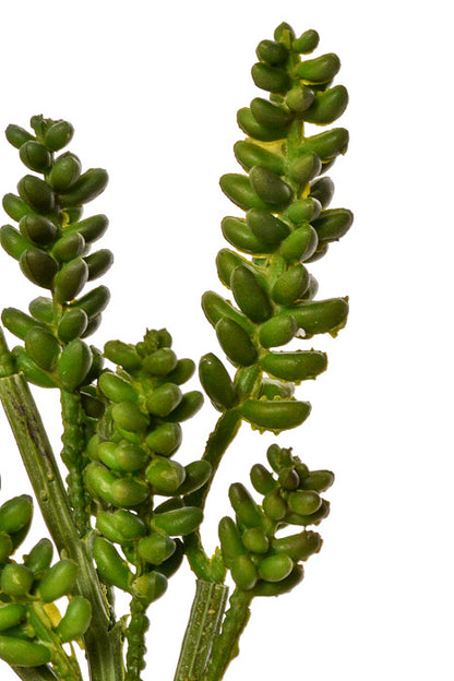 12" Donkey Tail Pick Green