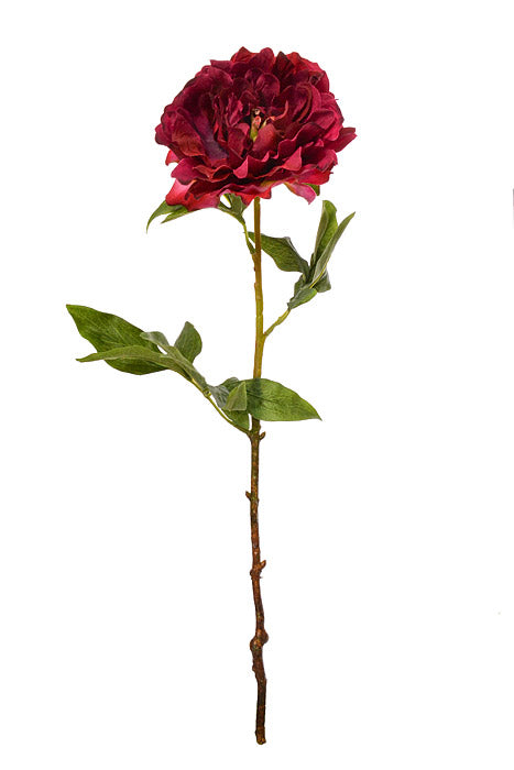 21" Silk Peony Spray Wine