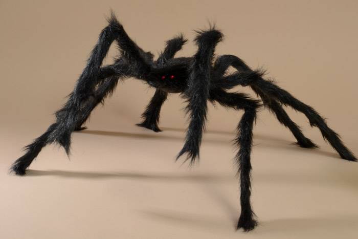 24&quot; Halloween Decorative Spider Black