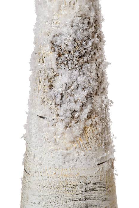 31&quot; Plastic Snow Birch Bark Cone Tree Na/fr