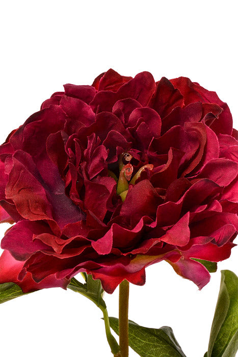 21" Silk Peony Spray Wine